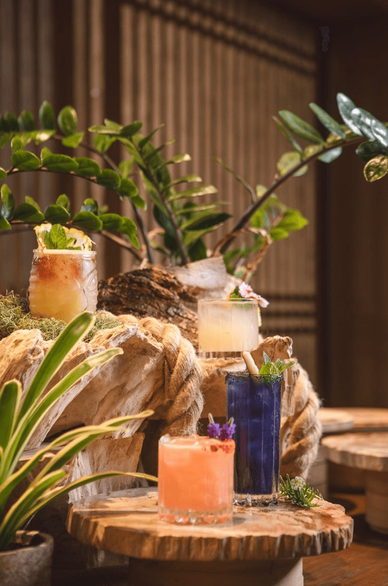 Collection of colorful craft cocktails in varied glassware displayed on natural wood slabs surrounded by tropical plants