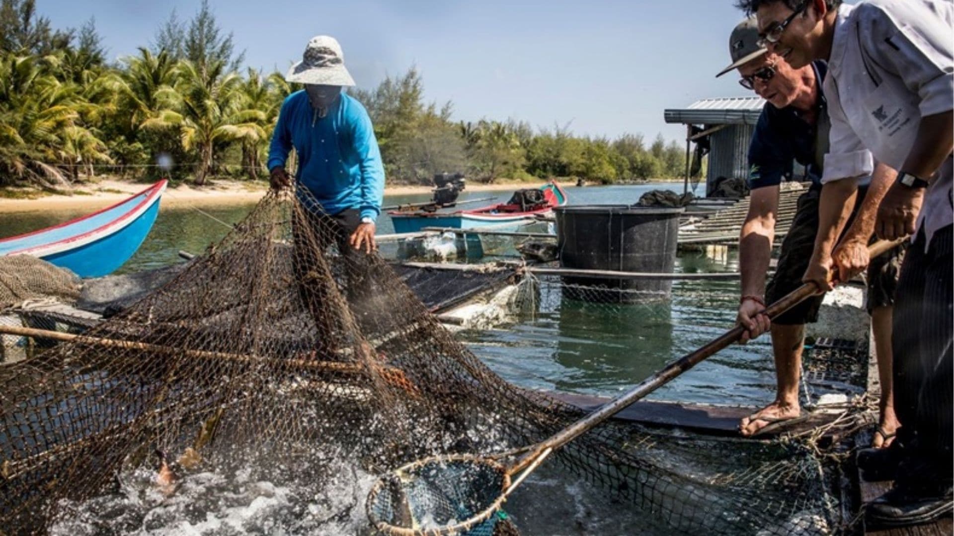 Our Power, Our Planet: How Marriott is Helping Nature Thrive